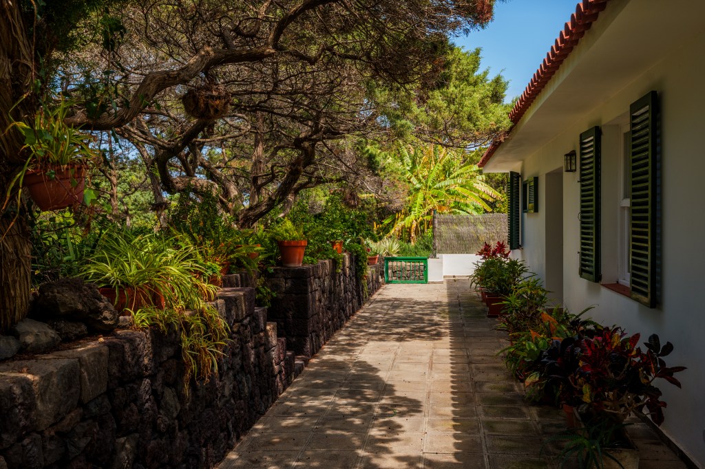 Sigma 35mm F1.4 DG II Art. Image credit: Damien Demolder