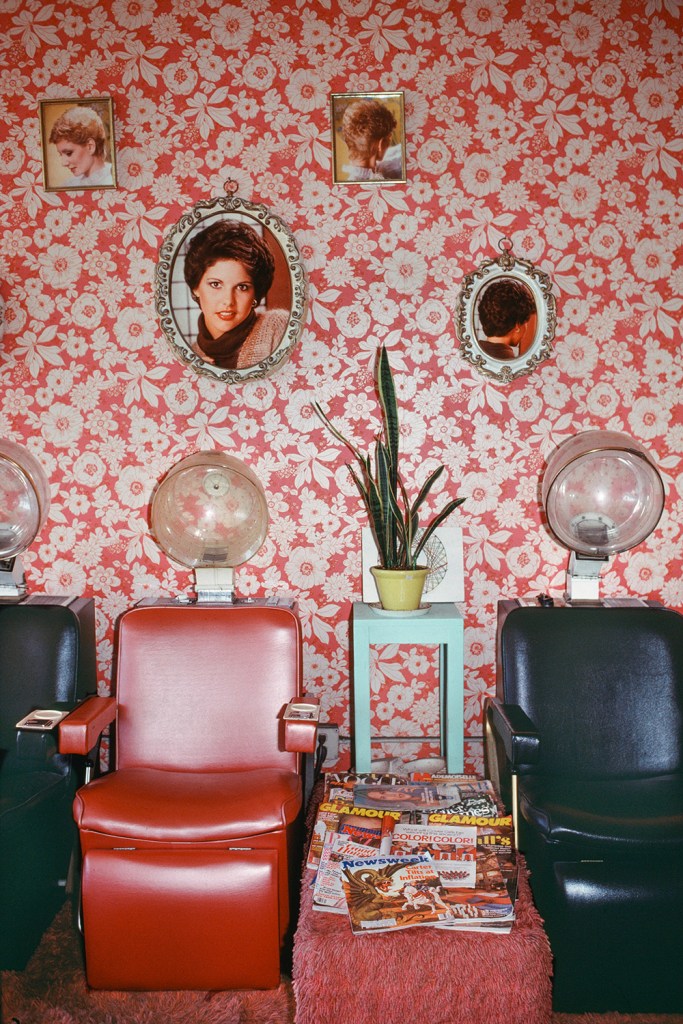 Too Many Products Too Much Pressure by Janet Delaney (Deadbeat Club)