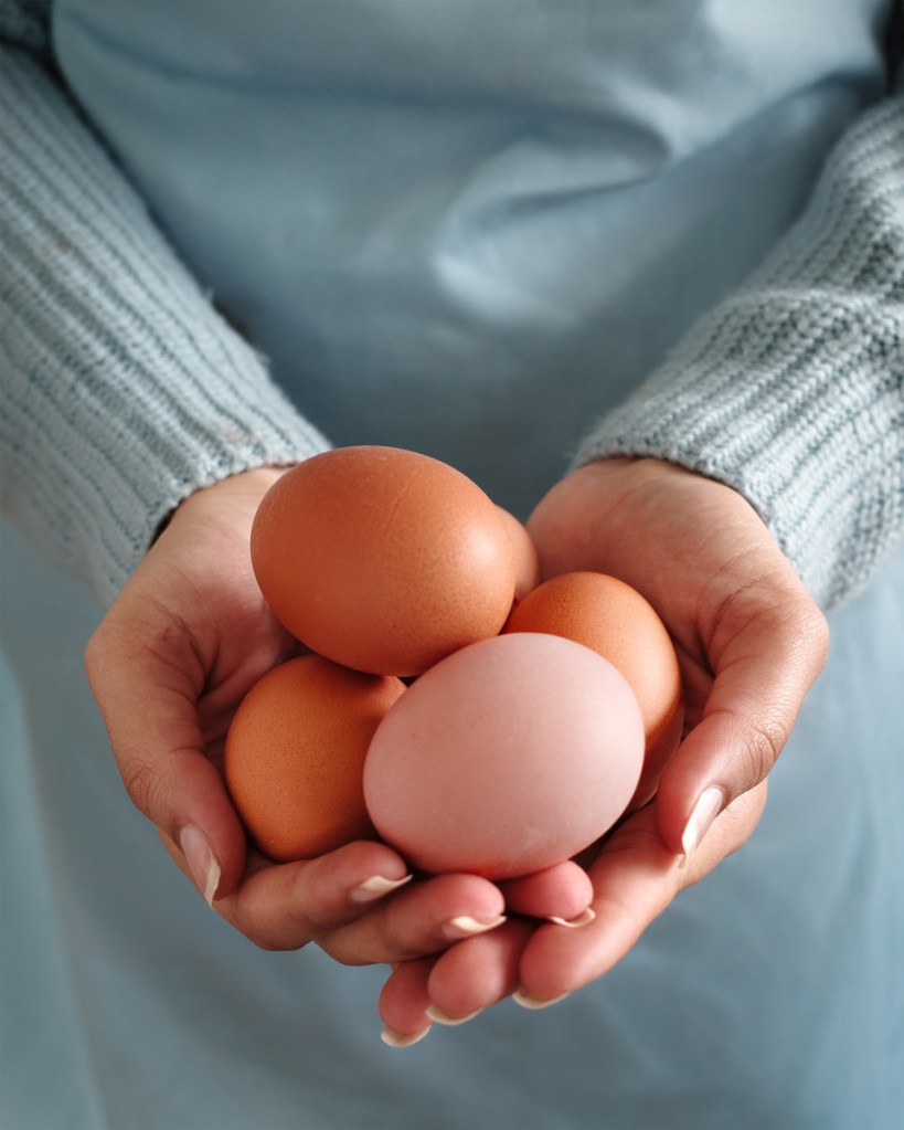 photo of hands holding eggs