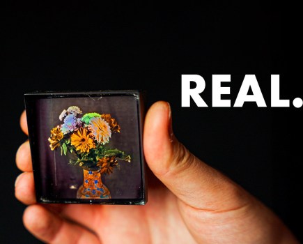 Steve Mould, science YouTuber shows a real colour photograph, holds up a Lippman plate depicting a bouquet of flowers.