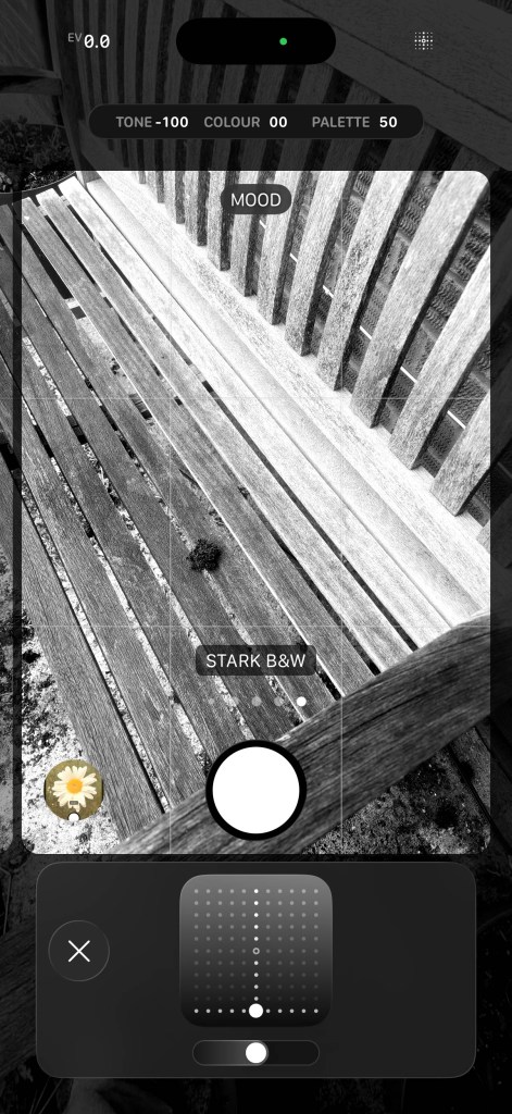 Photo styles: Stark B&W