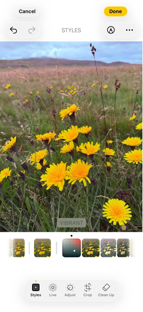 Photo styles: Vibrant