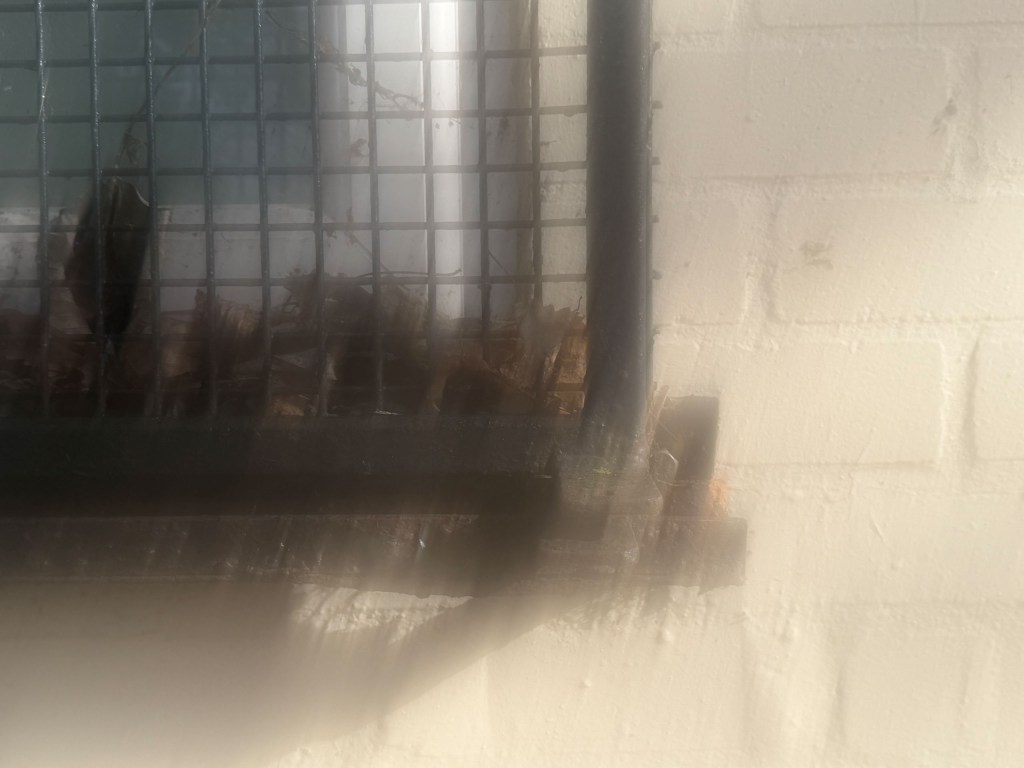 A picture of the edge of a windowsill in soft focus