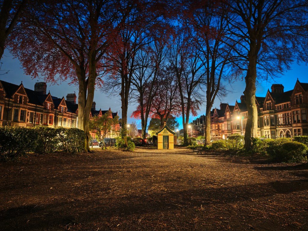 A low light image taken in a park