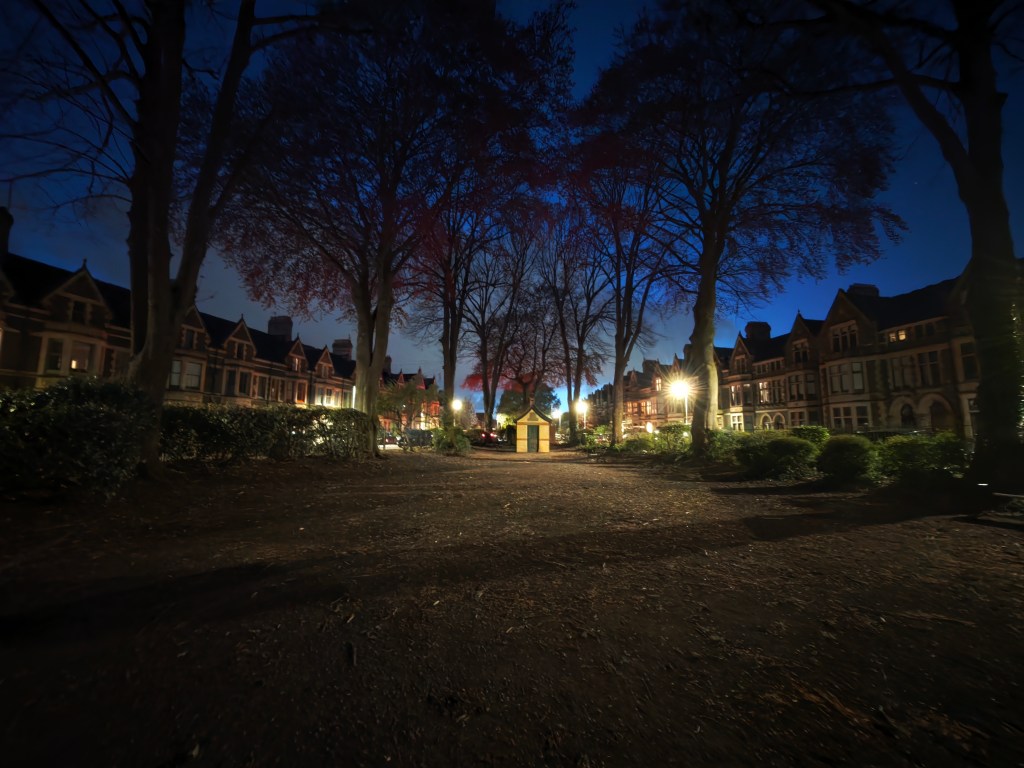 A low light image taken in a park
