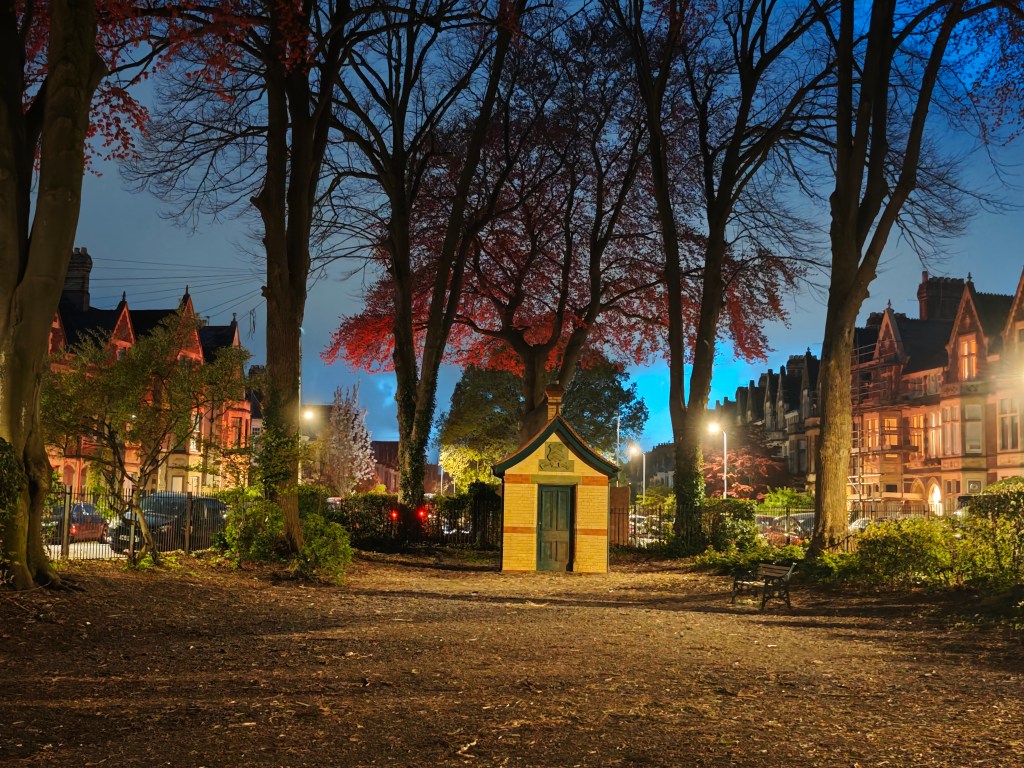 A low light image taken in a park
