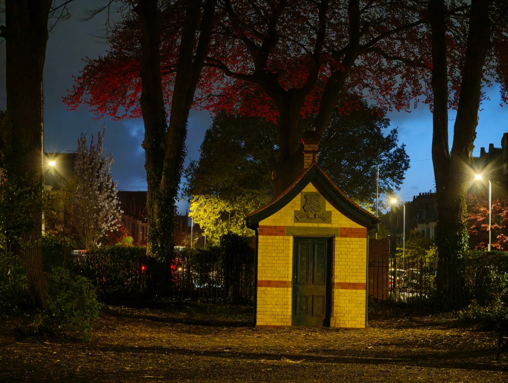 A low light image taken in a park