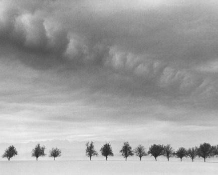 Michael Kenna Same Sun Same Moon, Fourteen trees, Marbach Austria, 1999