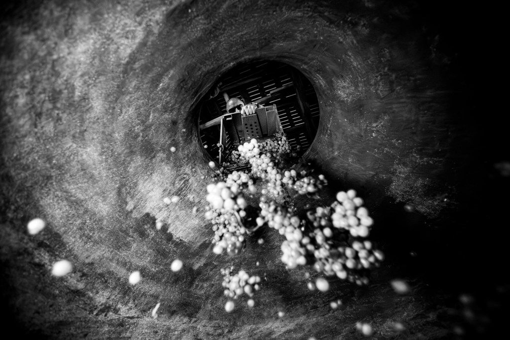 World Food Photography Award. Louis Jadot Wine Photographer of the Year award winner. Luke Carver - In the Eye of the Kvevri