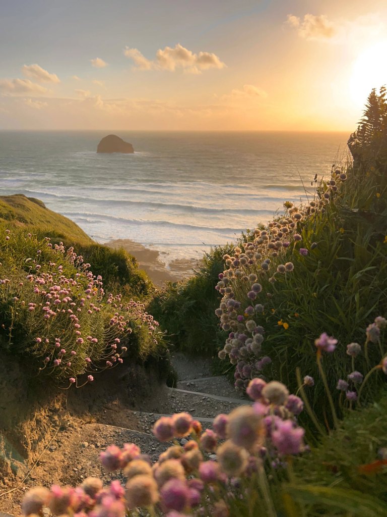 A path leading down to the seashore lined with purple flowers