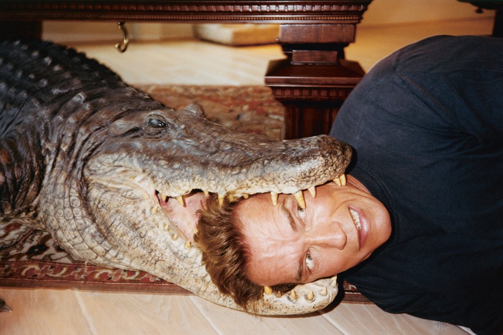 Arnold Schwarzenegger placing his head in a stuffed crocodile's mouth