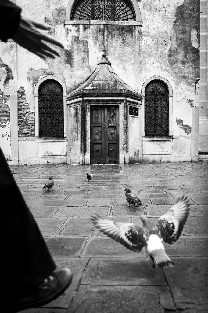 photo of a pigeon flying near someone's walking foot