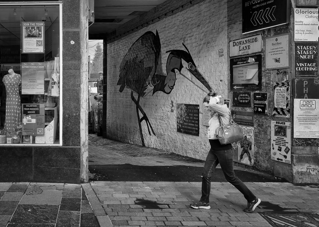 woman walking past a heron street art with beak in line with her head