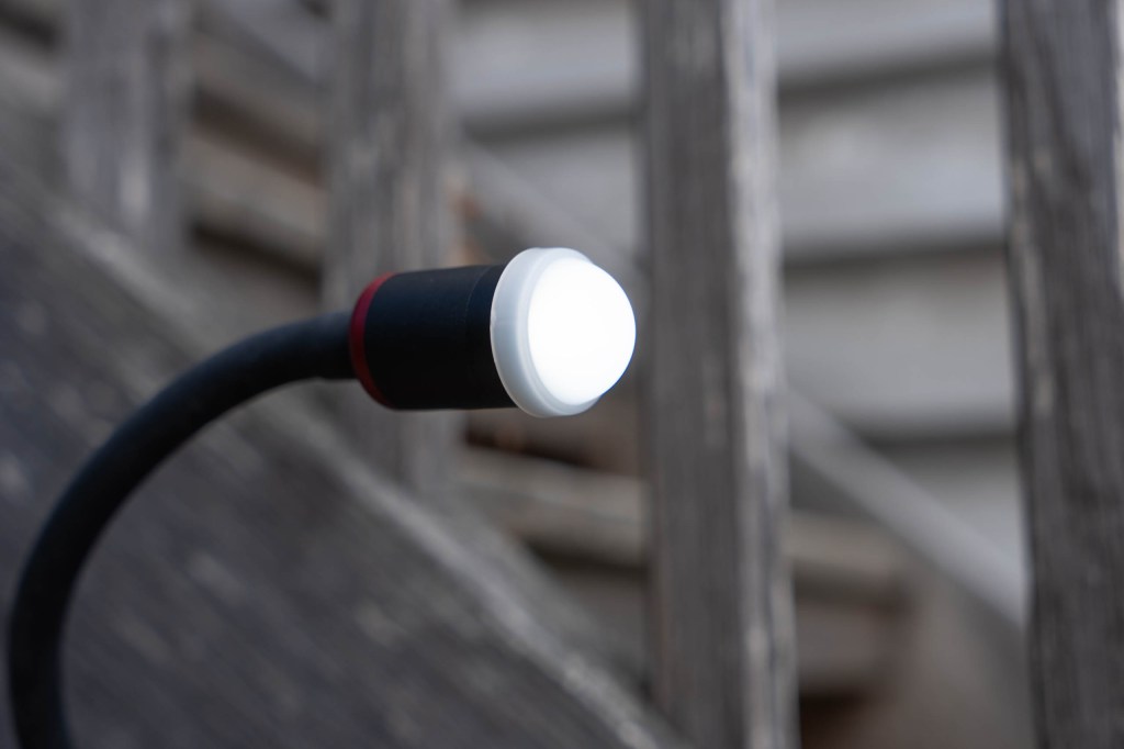 SmallRig RM 03 with diffuser. Image credit: Angela Nicholson