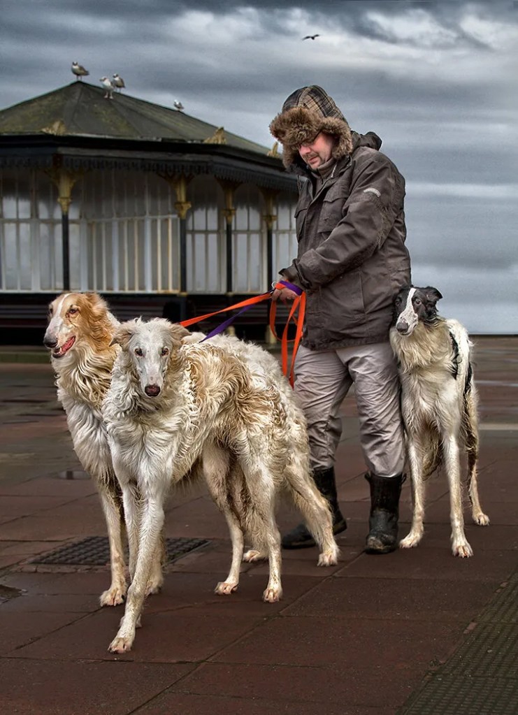 portrait of a man on the coast with his two dogs