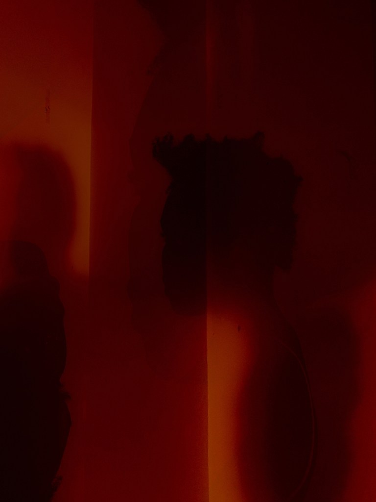  “Bloody Shadows” is a double exposed self-portrait representing inner rupture and 
mental saturation. 