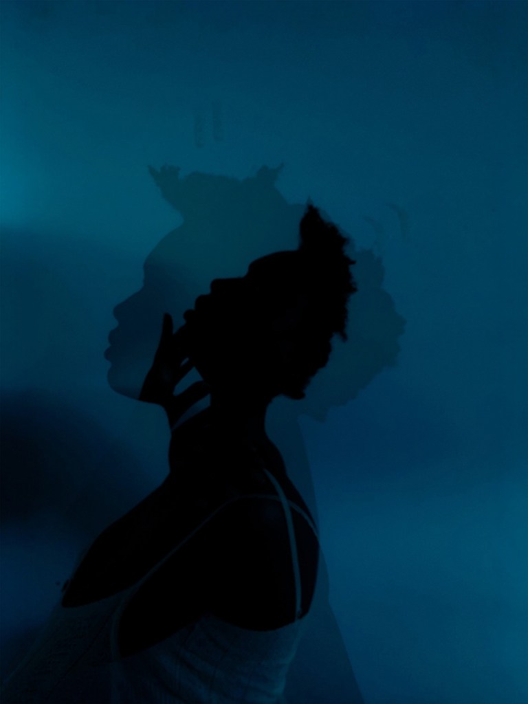  “The Sun At Midnight” speaks of the complexity of the diasporic experience and the 
navigation of several cultures whilst not knowing where to call “home”. The title holds 
this paradoxical tension of light/shadow.