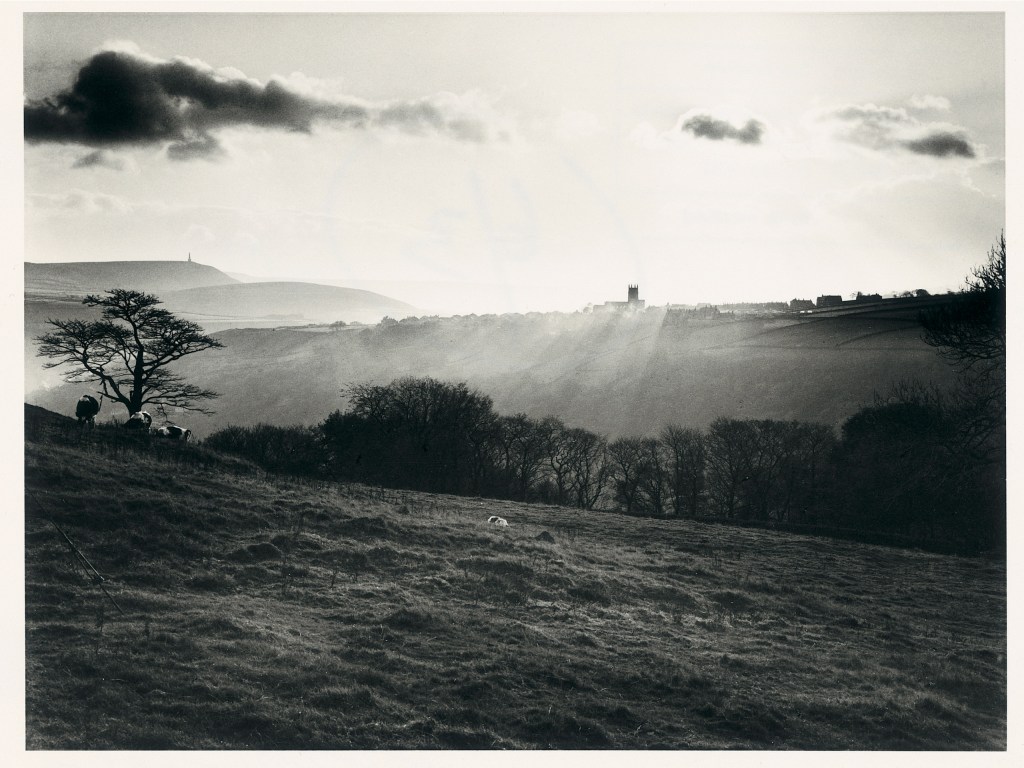 monochrome landscape photo