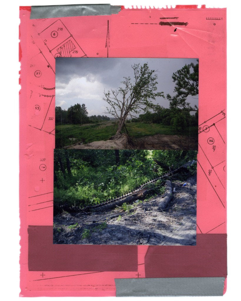 From Red Horse by Sasha Kurmaz
