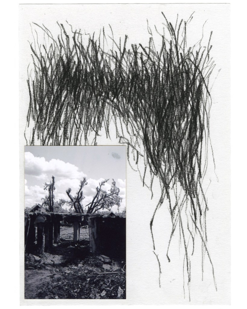 From Red Horse by Sasha Kurmaz
