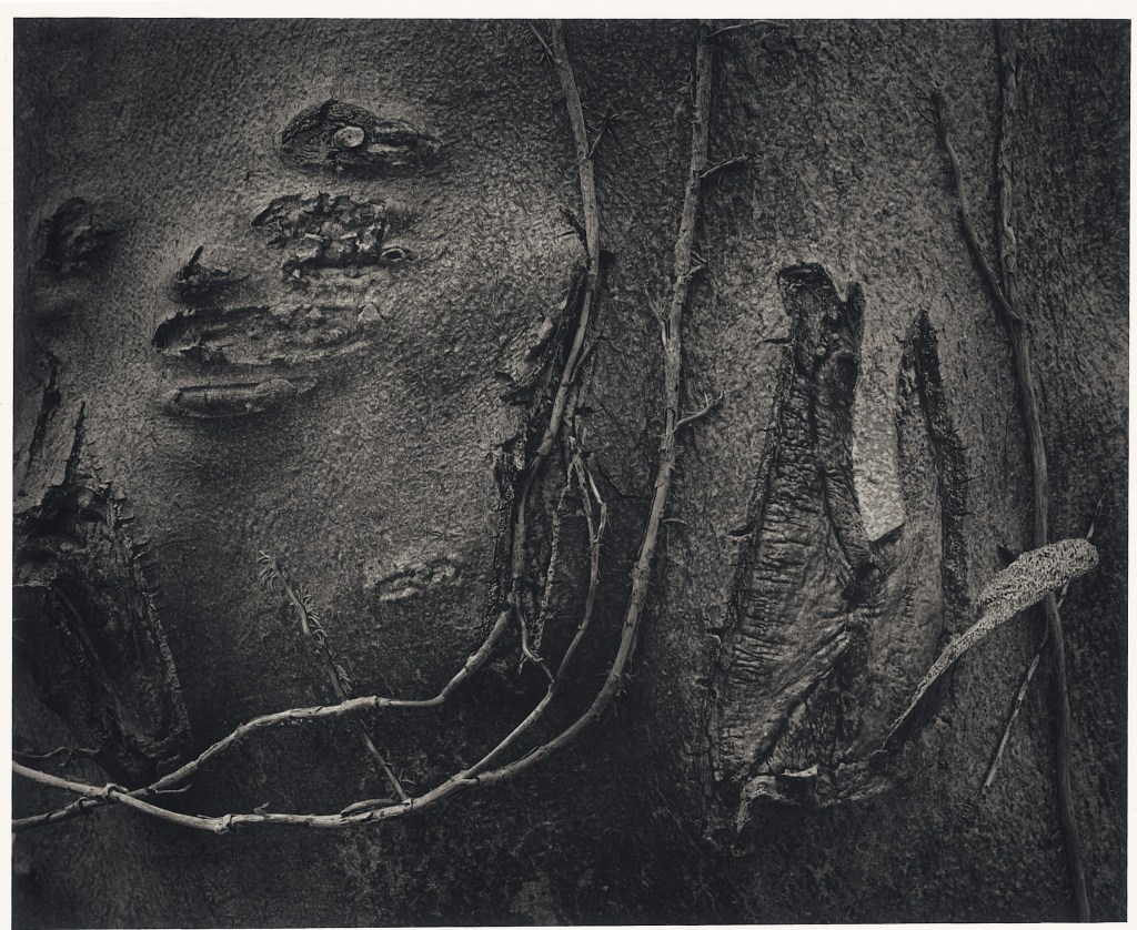 abstract photo