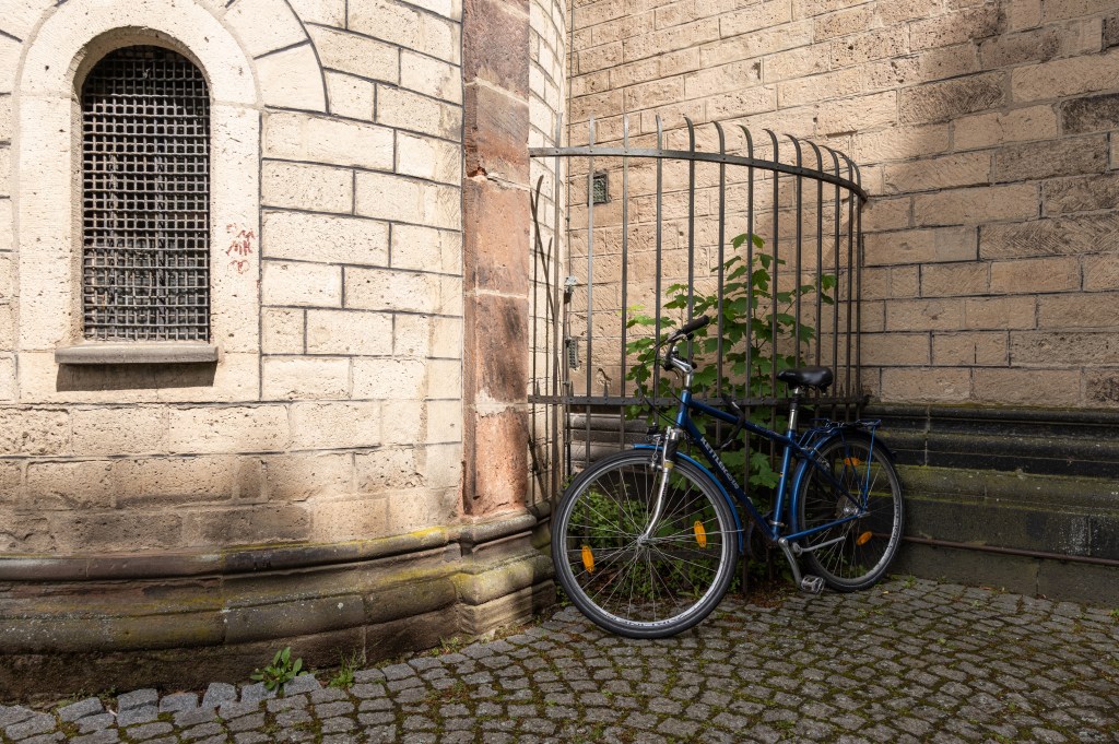 Leica SL3-P sample image. Image credit: Andy Westlake 