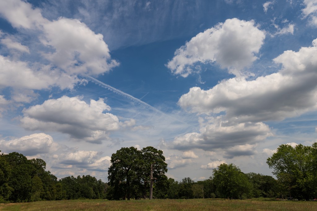 Leica SL3-P landscape sample image.