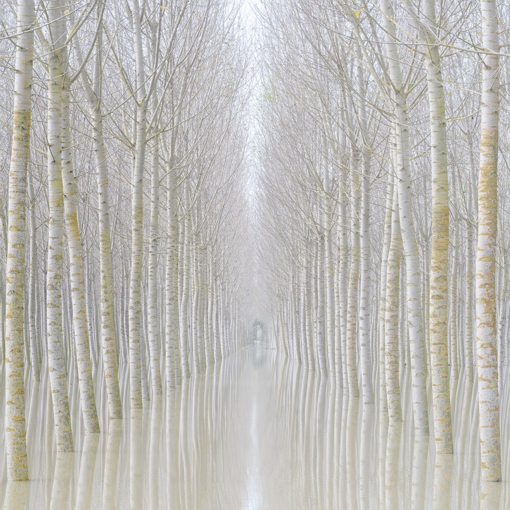 Rohan Reilly - Ephemeral Visions, Ireland