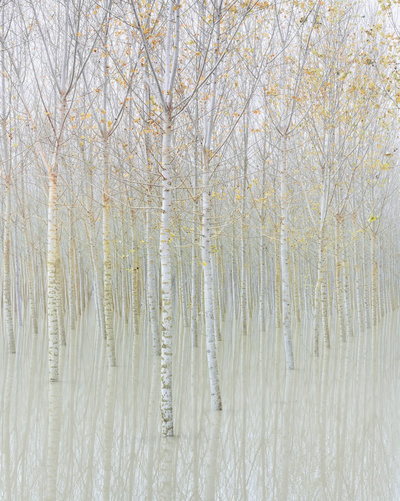 Rohan Reilly - Ephemeral Visions, Ireland