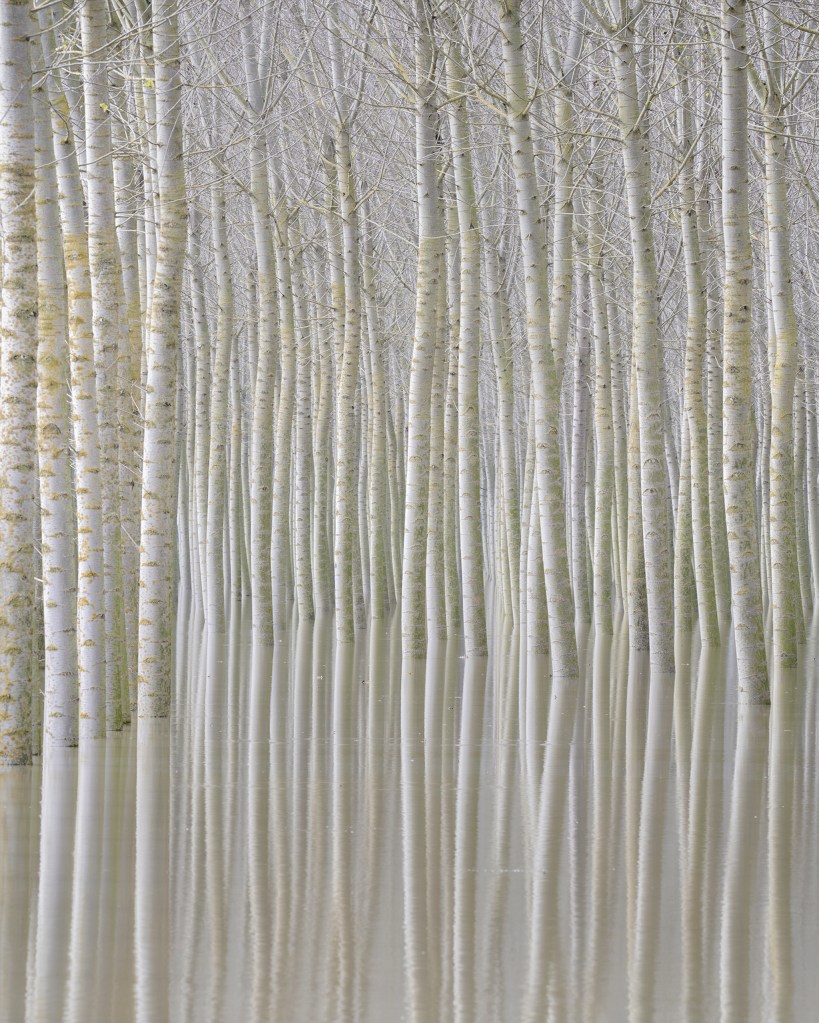 Rohan Reilly - Ephemeral Visions, Ireland