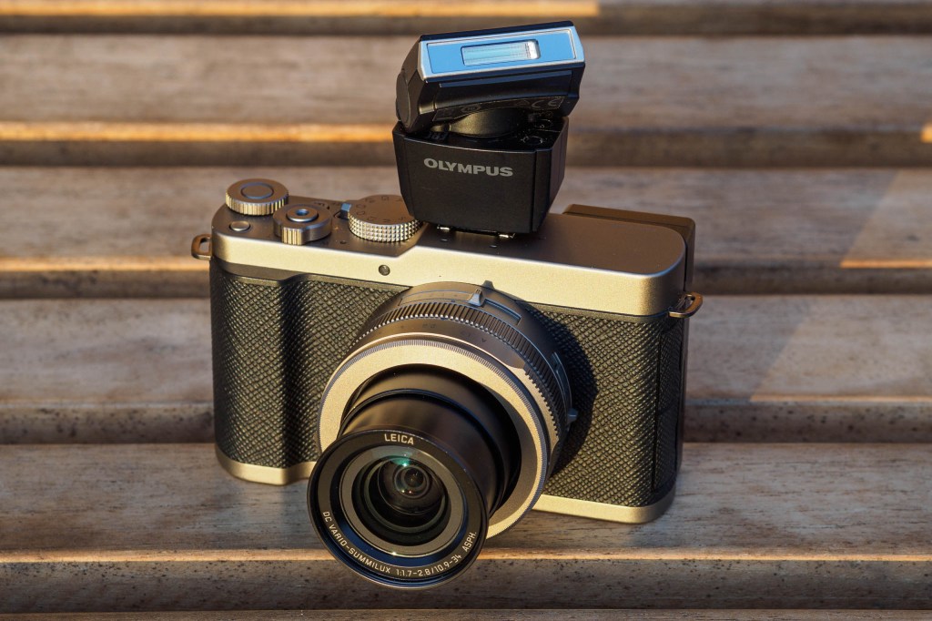 Panasonic Lumix L10 with Olympus FL-LM3 flash.