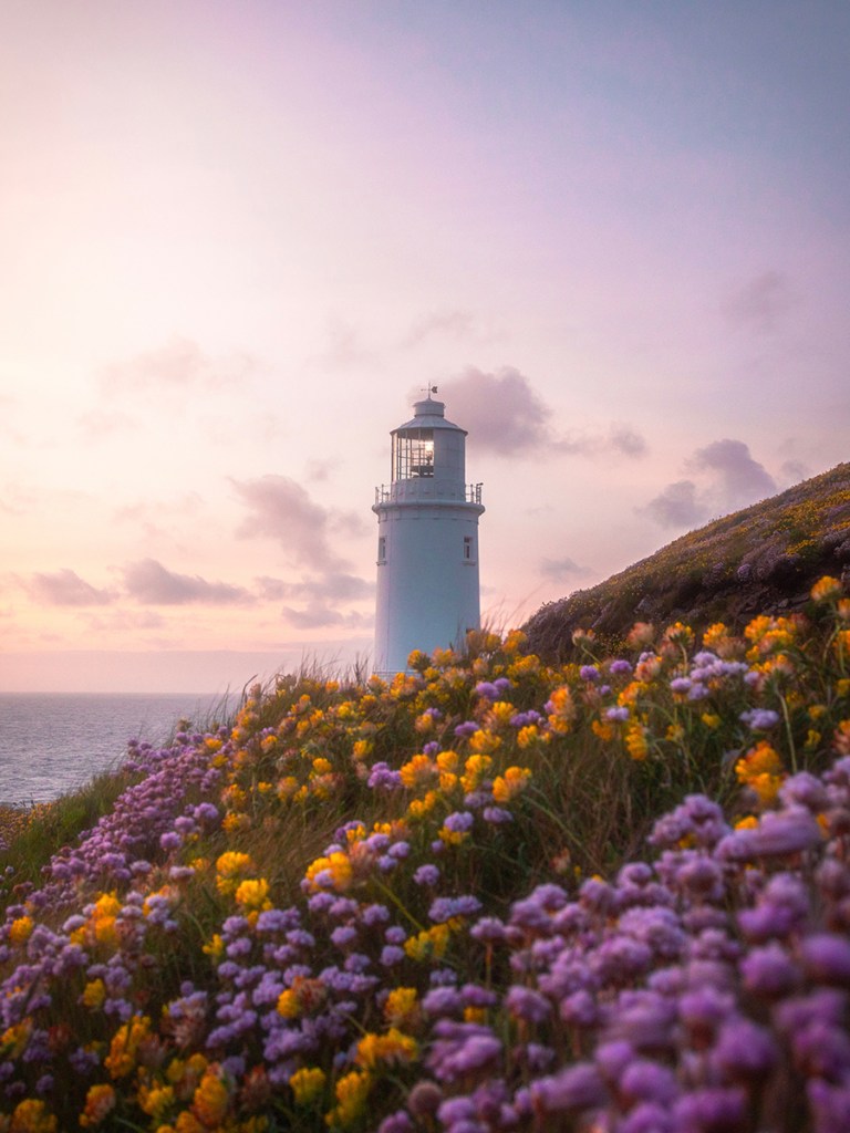 light house at sunset with pink flowers in the foreground