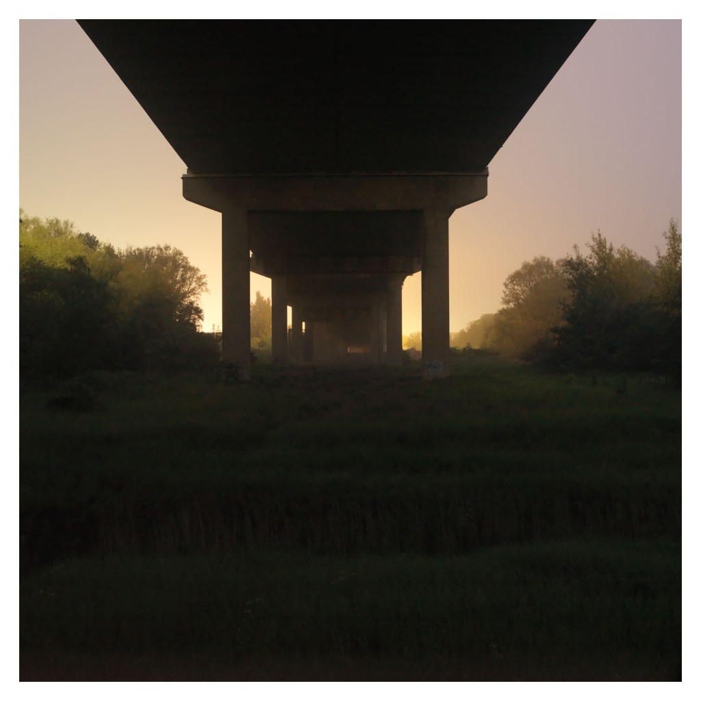 David George Newport 3