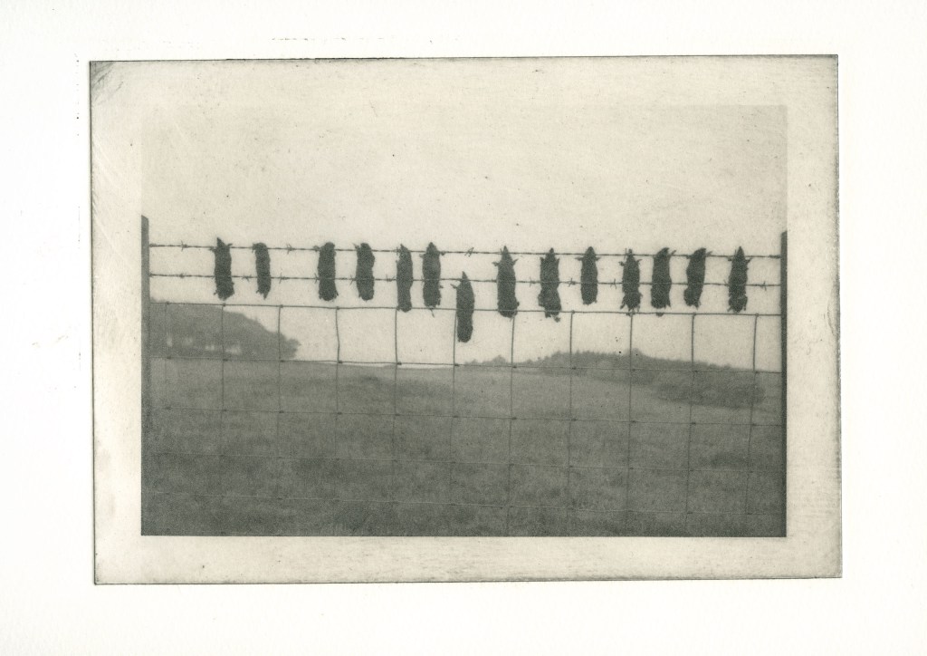 David George TEES Mole gallows Cotherstone