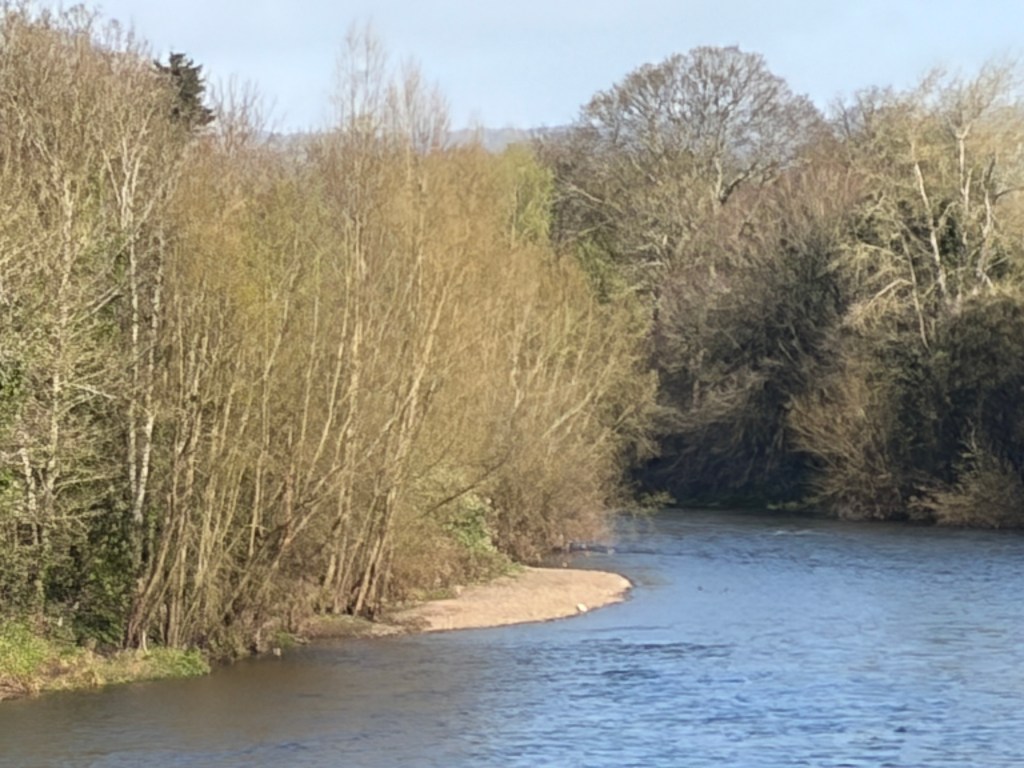 image of a river, 10x crop on iPhone 17