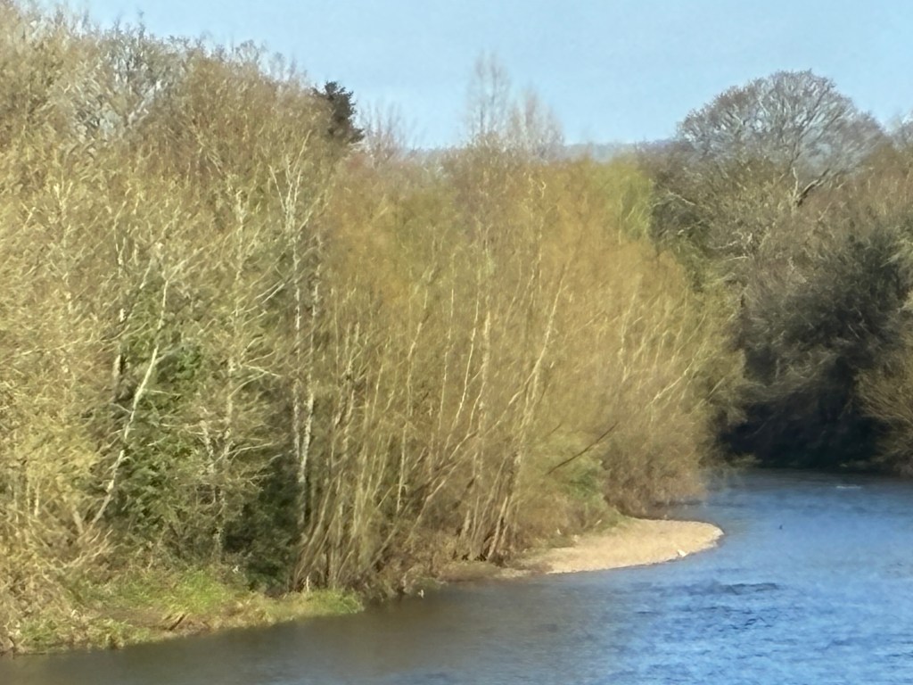 image of a river, 10x crop on iPhone 17e