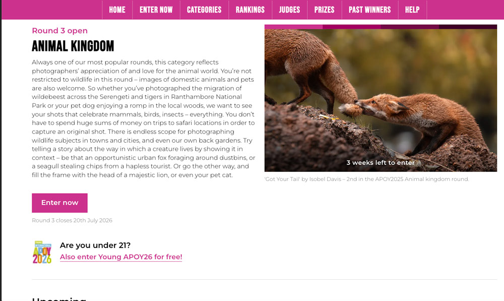 International Amateur Photographer of the Year Animal Kingdom