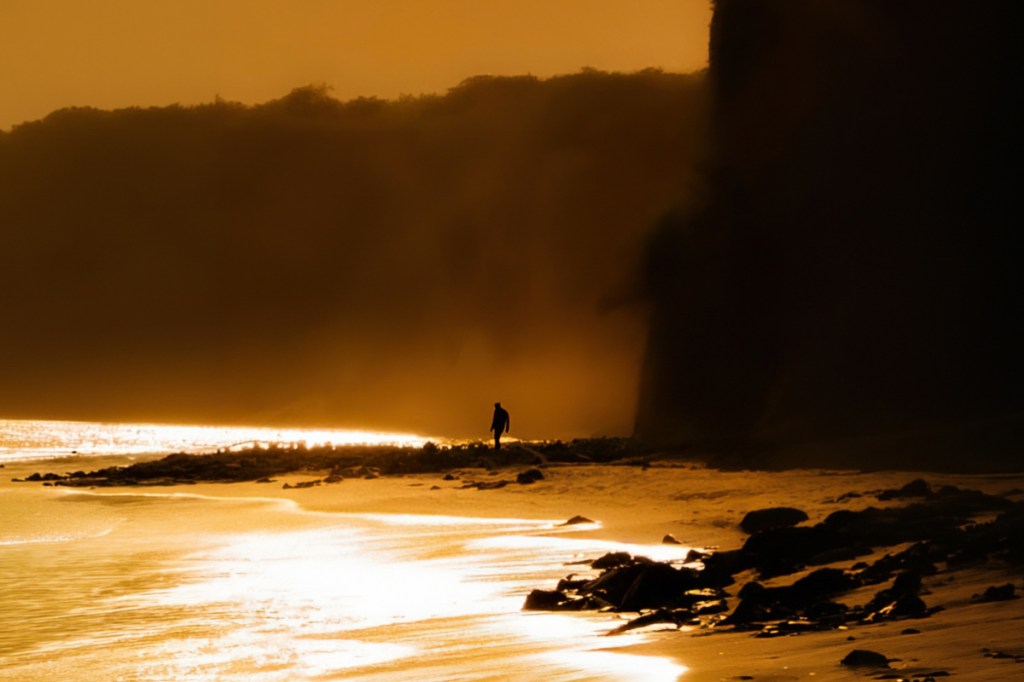 golden photo silhouette of someone walking on a beach