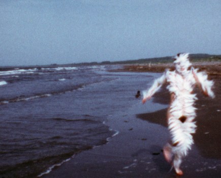 Ana Mendieta, Bird Run 1974. © The Estate of Ana Mendieta Collection, LLC. Licensed by Artist Rights Society (ARS), New York / DACS, 2026 / Courtesy Marian Goodman Gallery and Alison Jacques, London