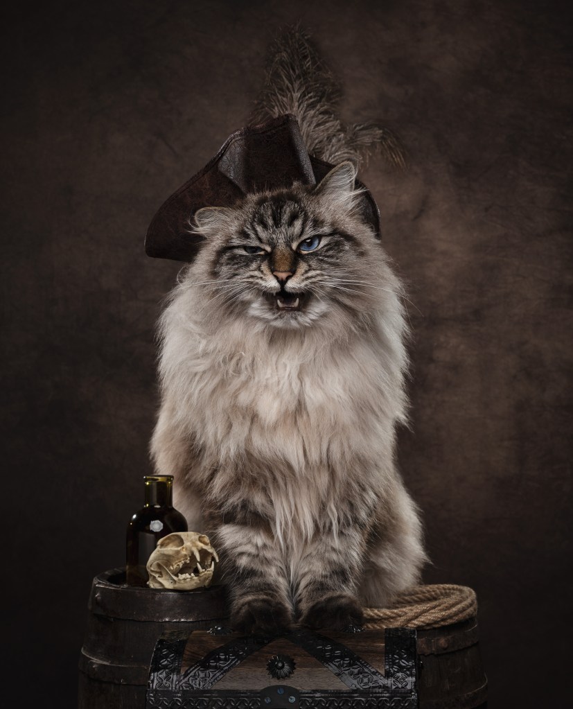 International Pet Photographer of the Year Awards category Finalist