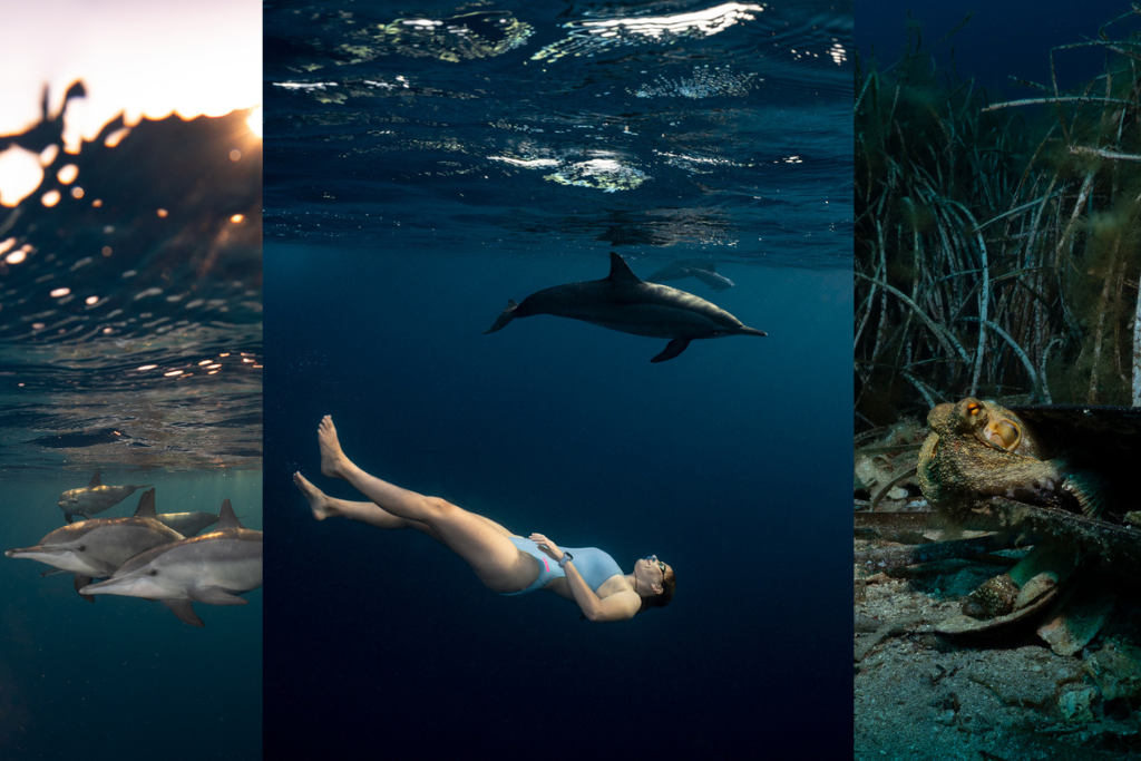 Freediver and Dolphins: The Shot Seen Across the UK