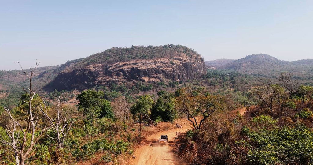 Aerial image of a car driving on a dirt road surrounded by trees and approaching a large rocky outcrop.
