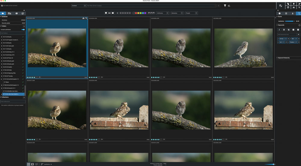 Excire advertorial nature photography
