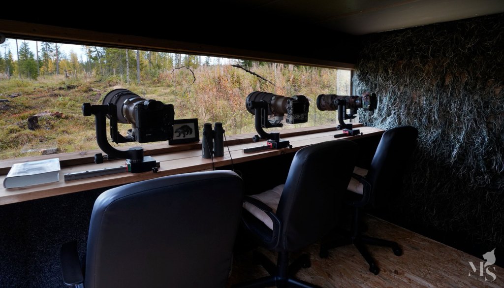 A wildlife photography field hide inside with three cameras on gimbals