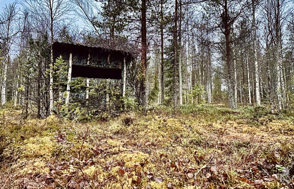 A wildlife photography hide set up in a forest
