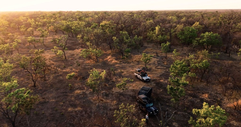 Aerial image of a car in a forested area