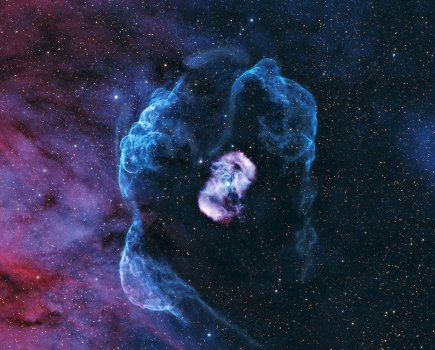 Frank Alvaro - A Dragon's Egg in a Gossamer Cocoon. Winner of Editor's Choice Category in David Malin Astro Photography Awards