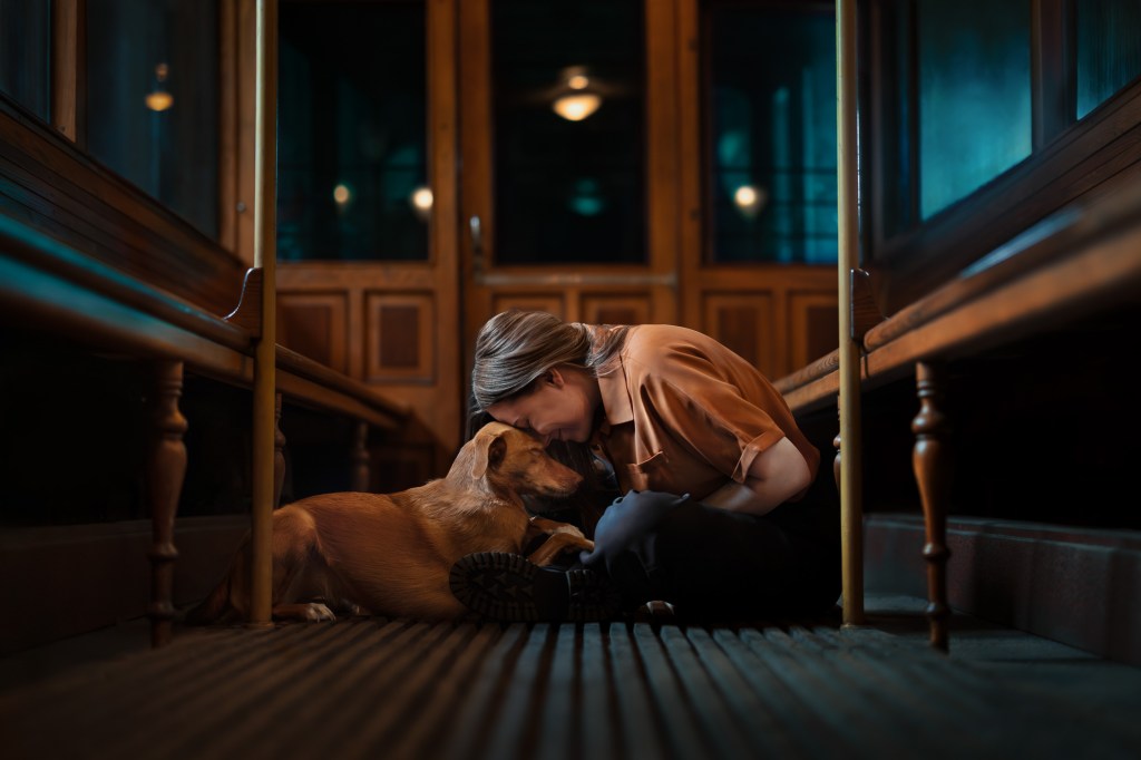 International Pet Photographer of the Year Awards category Finalist