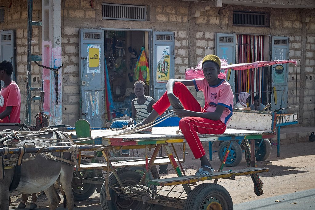 A boy sitting on a makeshift vehicle pulled by a donkey