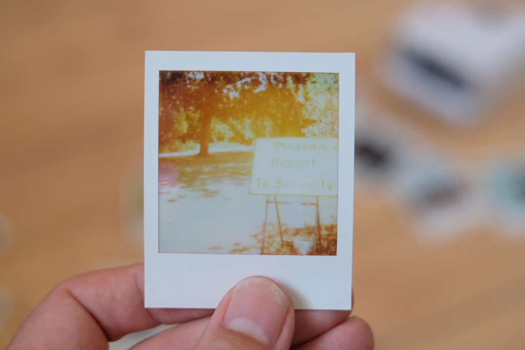 Very sun-bleached Polaroid Go photograph of a sign in the woods